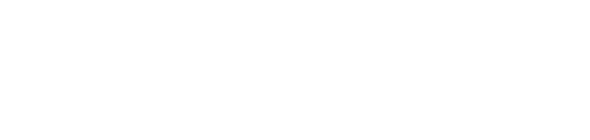 footer-logo